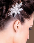 Larissa Hair Slide - Clear (Gold Plated)