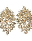 Lecia Earrings - Clear (Gold Plated) (Clip On)