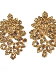 Lecia Earrings - Brown (Clip On)